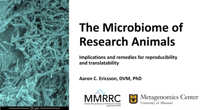 The gut microbiome of research animals with Dr Aaron Erricsson.